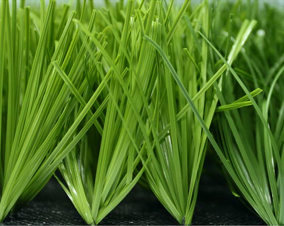 雙色單絲帶筋無(wú)黑紗