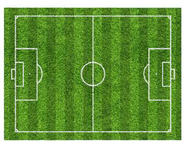足球場(chǎng)人造草坪