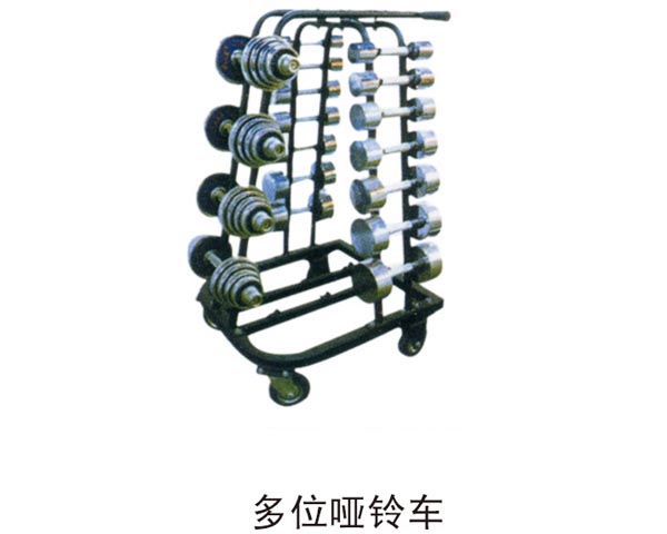 多位啞鈴車