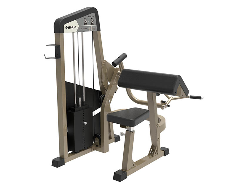 SH-G5823 二頭肌訓(xùn)練器