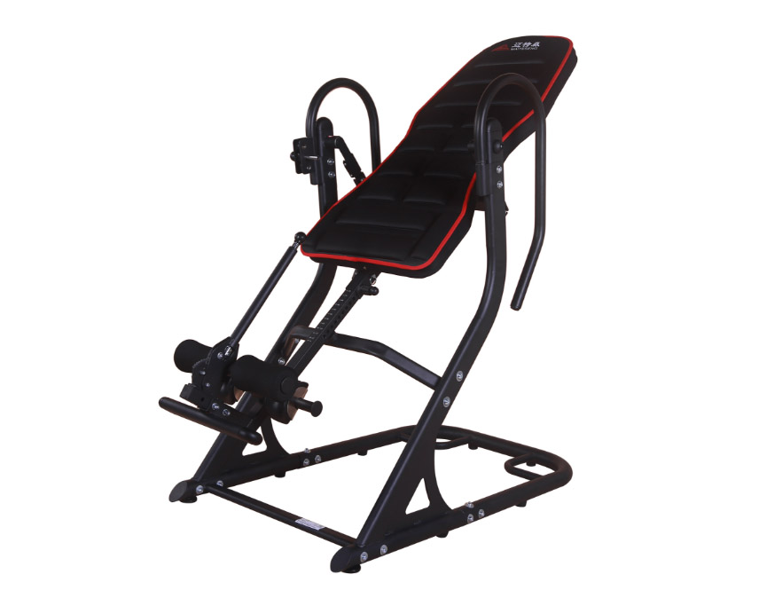 邁特森MS360 倒立機(jī)