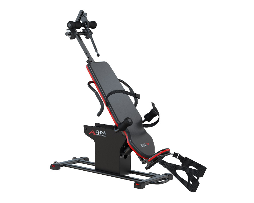 邁特森MS365 電動倒立機(jī)