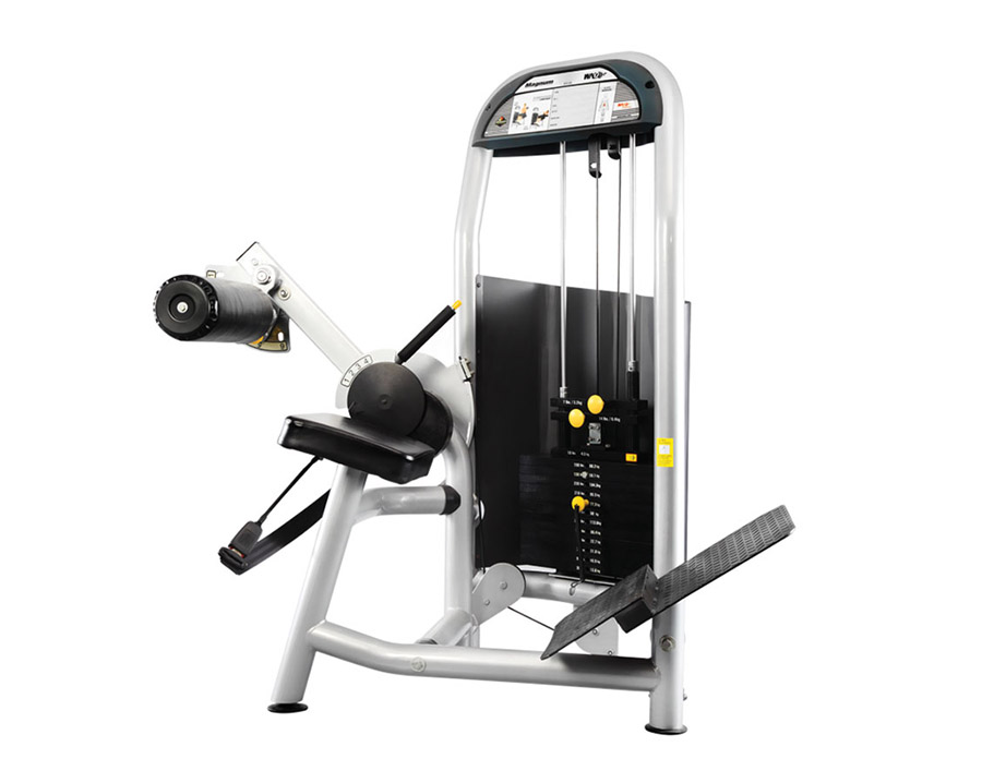 F1-5008 商用背部訓練器